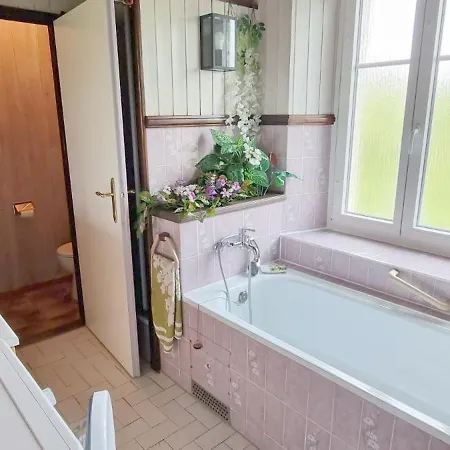 Dom wakacyjny Maison Entiere 2 Individuels Jardin 450 M Montagne Foret Lacs Riviere 8 Personnes